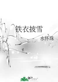 铁衣披雪